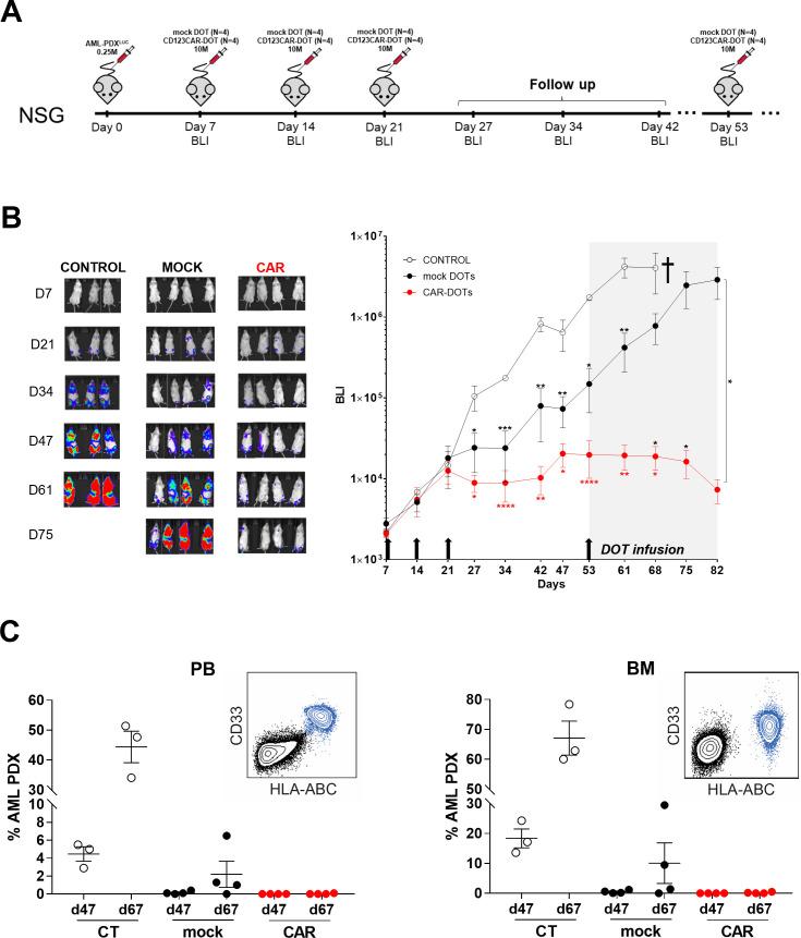 https://cdn.ncbi.nlm.nih.gov/pmc/blobs/0022/9516293/5dbbc8aab0c9/jitc-2022-005400f03.jpg