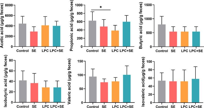 https://cdn.ncbi.nlm.nih.gov/pmc/blobs/0023/10875300/a6c584151feb/gr5.jpg