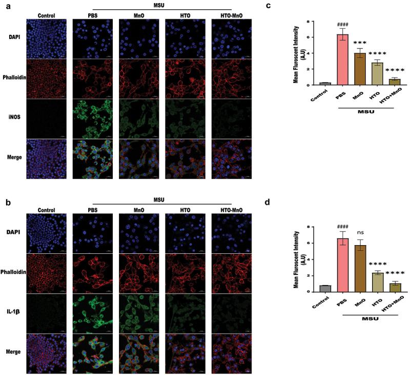 https://cdn.ncbi.nlm.nih.gov/pmc/blobs/0023/12164388/33646b3df6a0/TSTA_A_2491304_F0005_OC.jpg