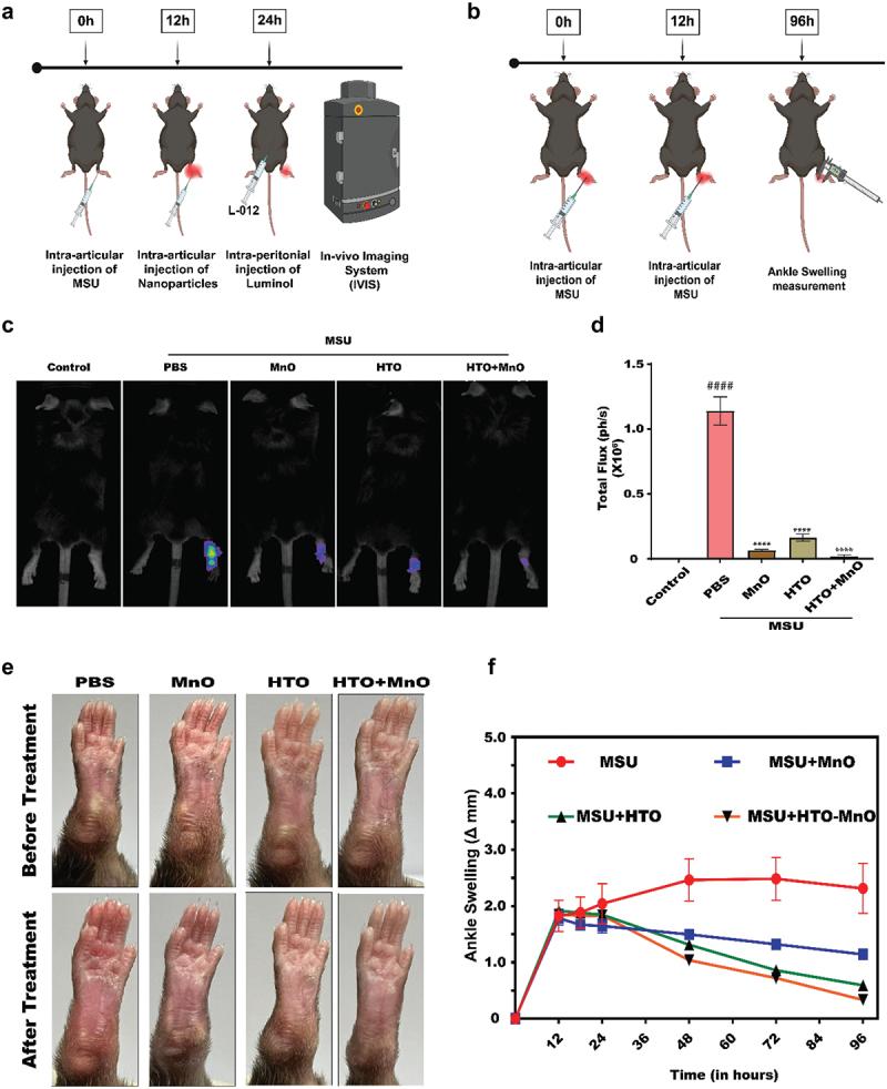 https://cdn.ncbi.nlm.nih.gov/pmc/blobs/0023/12164388/481d22e118bc/TSTA_A_2491304_F0006_OC.jpg