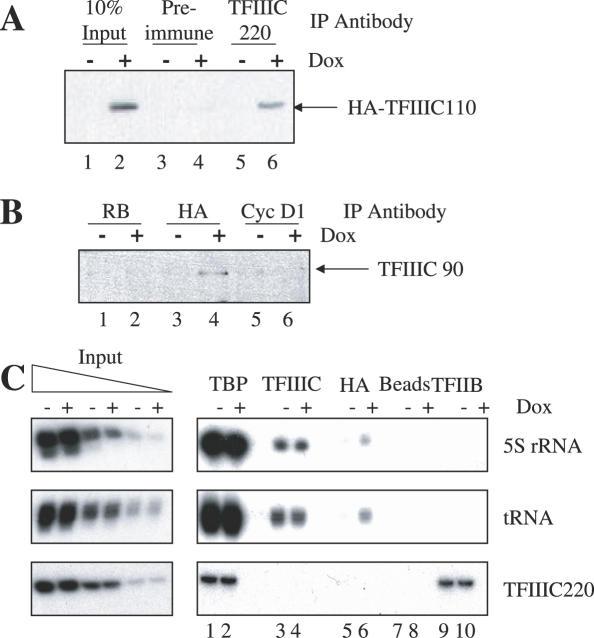 https://cdn.ncbi.nlm.nih.gov/pmc/blobs/0024/1488882/c8eb1f43b240/gkl432f7.jpg