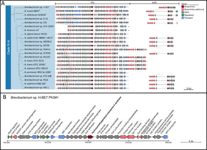 https://cdn.ncbi.nlm.nih.gov/pmc/blobs/0025/10588199/ae1f16883420/12864_2023_9694_Fig5_HTML.jpg