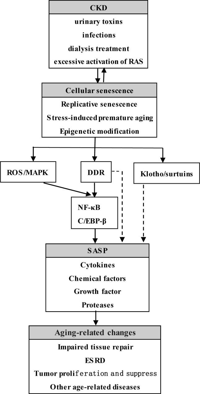 https://cdn.ncbi.nlm.nih.gov/pmc/blobs/0025/5610023/4b560c2ad12c/oncotarget-08-64520-g001.jpg
