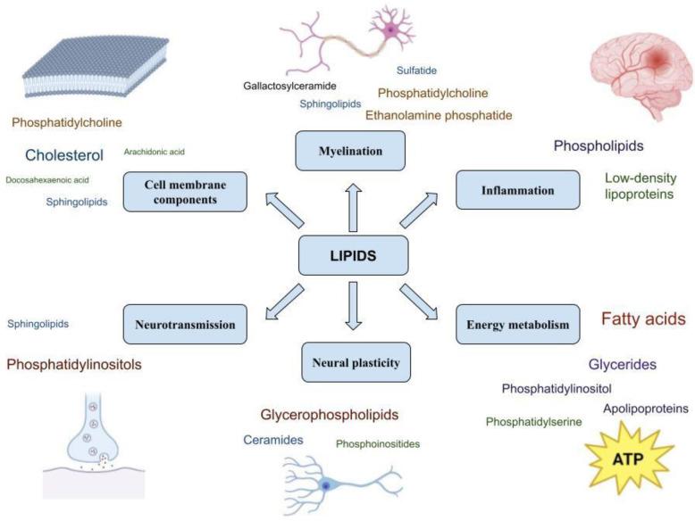 https://cdn.ncbi.nlm.nih.gov/pmc/blobs/0026/10890164/5addfedfe81f/metabolites-14-00080-g002.jpg