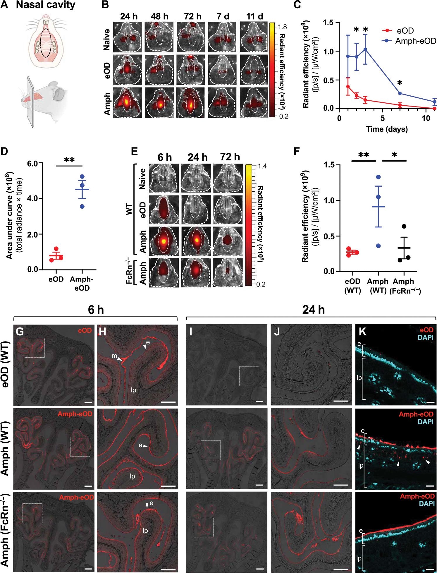 https://cdn.ncbi.nlm.nih.gov/pmc/blobs/0027/9835395/45a628d8fab9/nihms-1853909-f0002.jpg