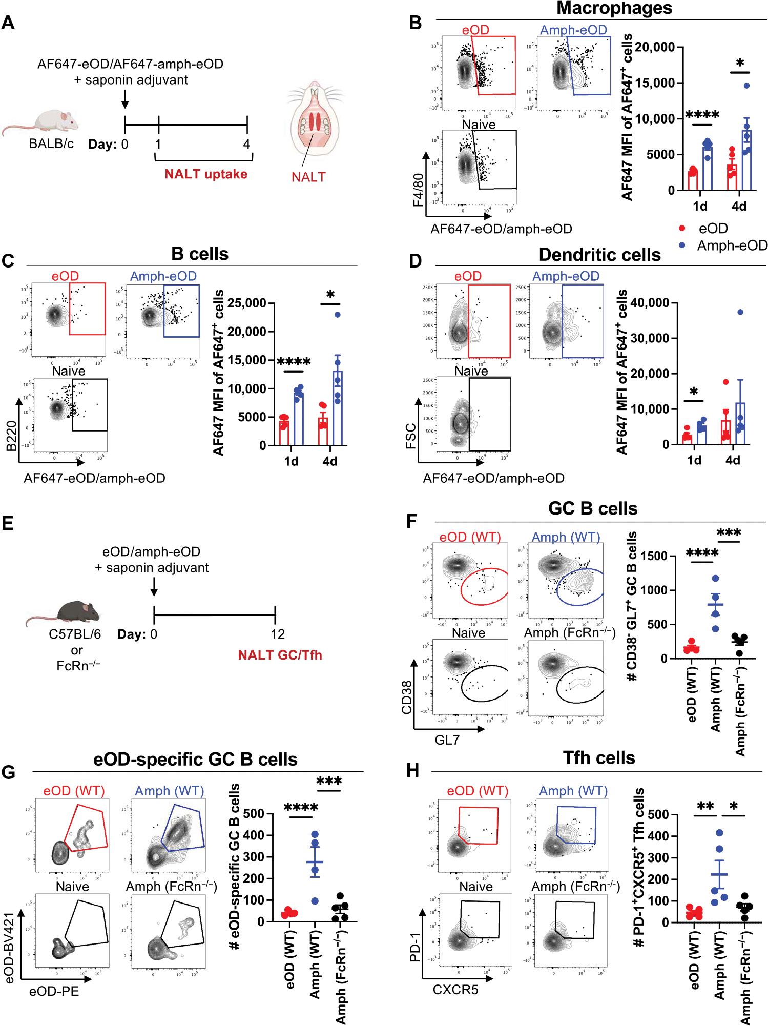 https://cdn.ncbi.nlm.nih.gov/pmc/blobs/0027/9835395/4af3ee5f7cae/nihms-1853909-f0003.jpg