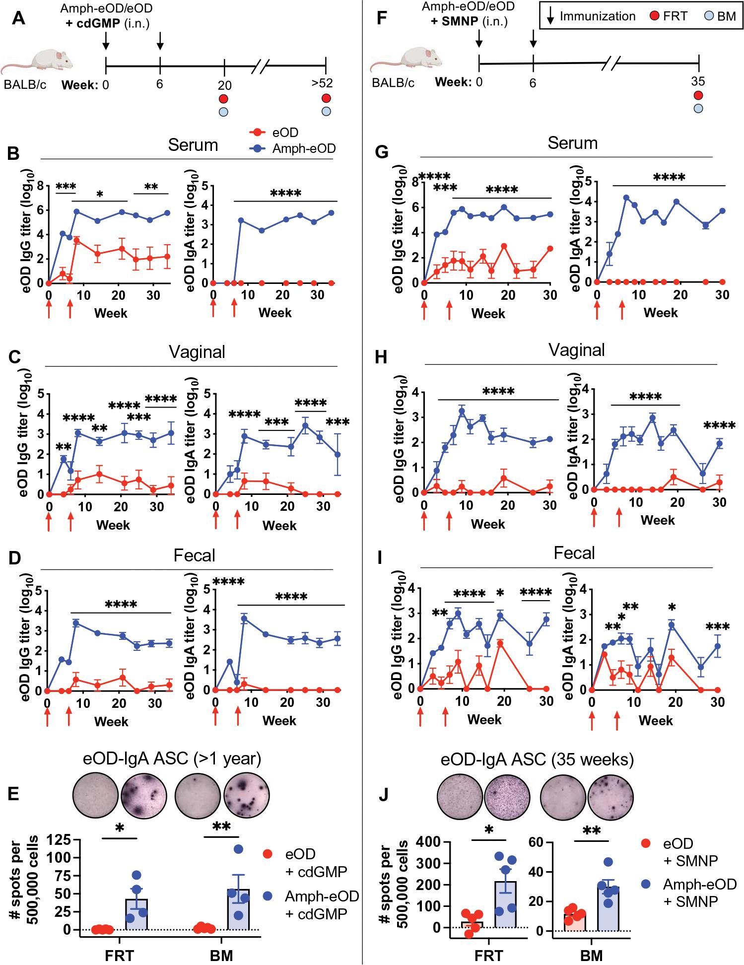 https://cdn.ncbi.nlm.nih.gov/pmc/blobs/0027/9835395/94f840d965d9/nihms-1853909-f0004.jpg