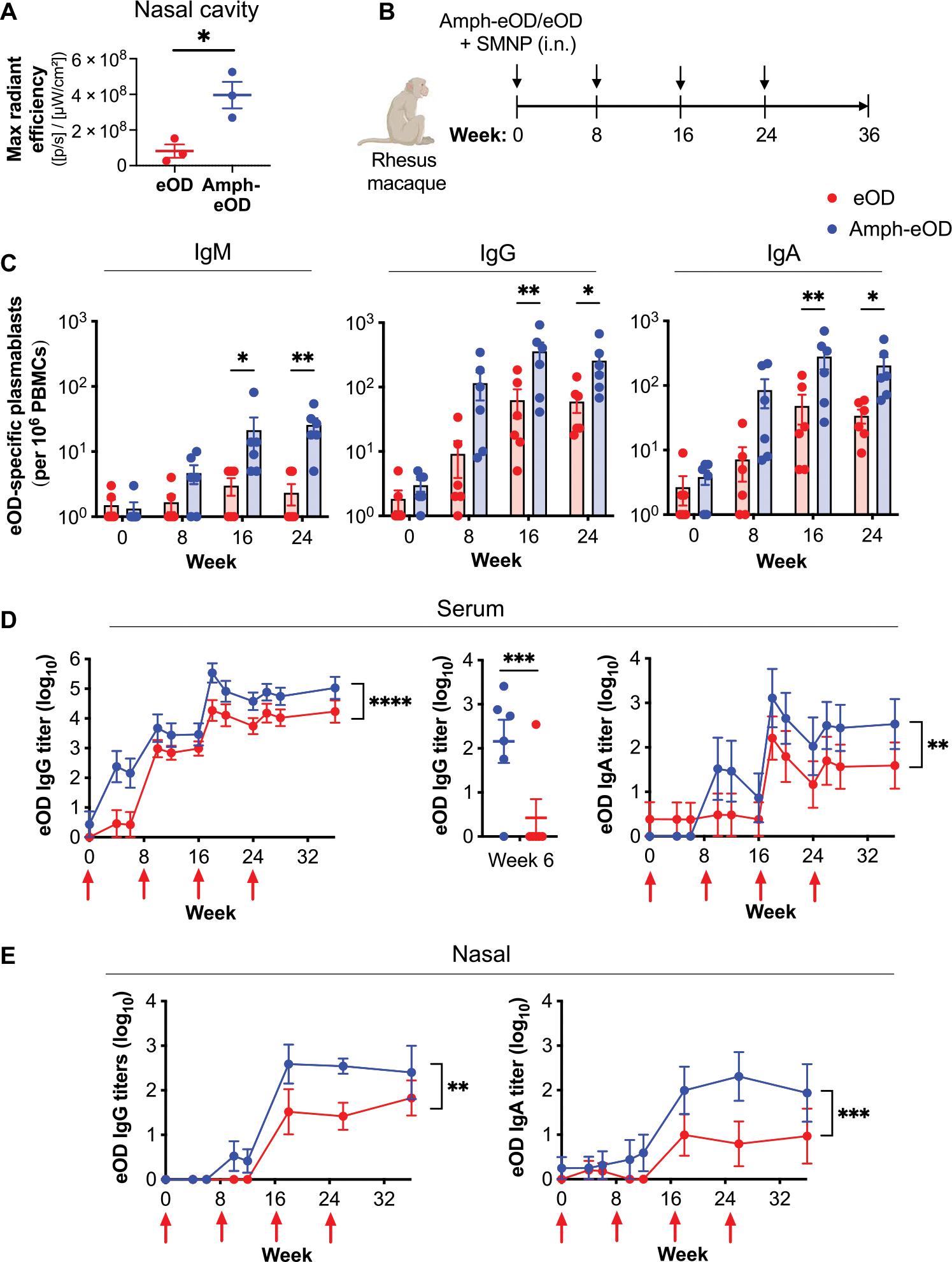 https://cdn.ncbi.nlm.nih.gov/pmc/blobs/0027/9835395/b79f5784795d/nihms-1853909-f0006.jpg