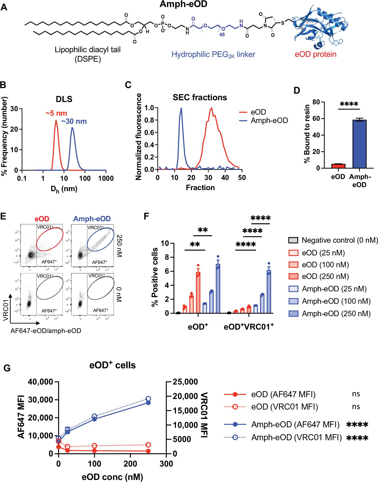 https://cdn.ncbi.nlm.nih.gov/pmc/blobs/0027/9835395/e498c8b1eb57/nihms-1853909-f0001.jpg