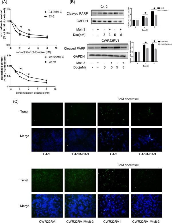 https://cdn.ncbi.nlm.nih.gov/pmc/blobs/0029/6594129/8321deb91462/PROS-79-1018-g002.jpg