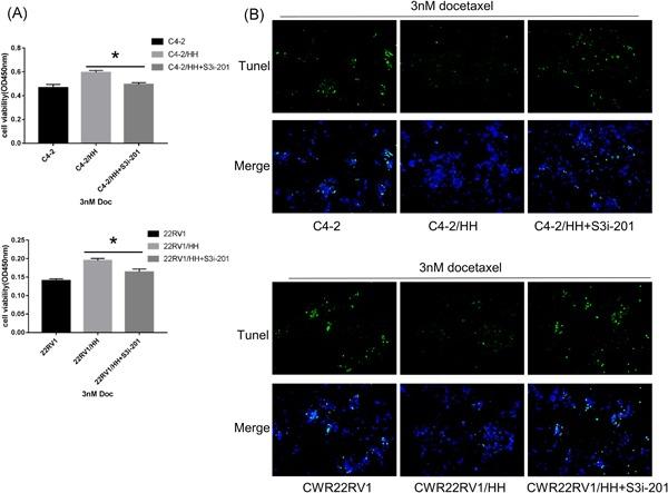 https://cdn.ncbi.nlm.nih.gov/pmc/blobs/0029/6594129/a578adb24a8b/PROS-79-1018-g006.jpg