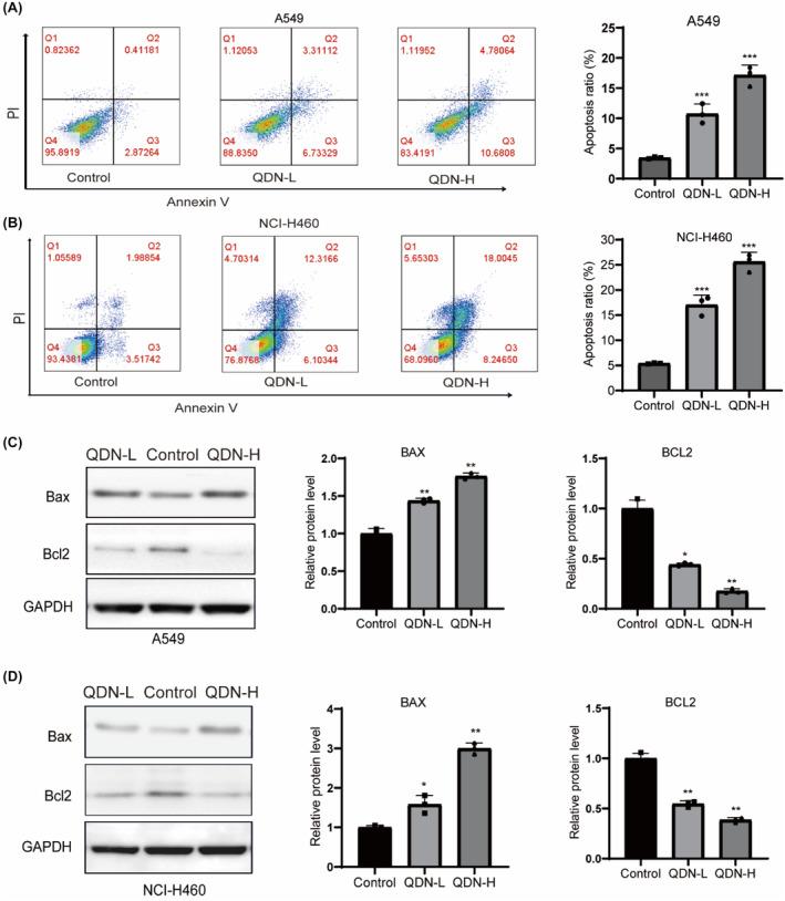 https://cdn.ncbi.nlm.nih.gov/pmc/blobs/002a/11057058/575969888f09/JCMM-28-e18353-g005.jpg