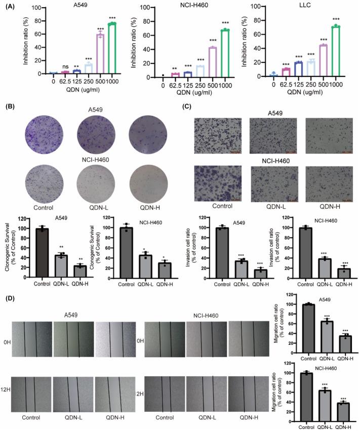 https://cdn.ncbi.nlm.nih.gov/pmc/blobs/002a/11057058/f9e36e918747/JCMM-28-e18353-g001.jpg