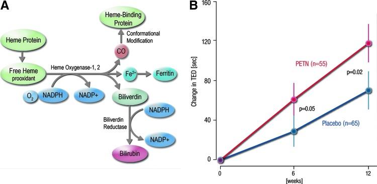 https://cdn.ncbi.nlm.nih.gov/pmc/blobs/002c/4752190/16d28b1f7003/fig-5.jpg