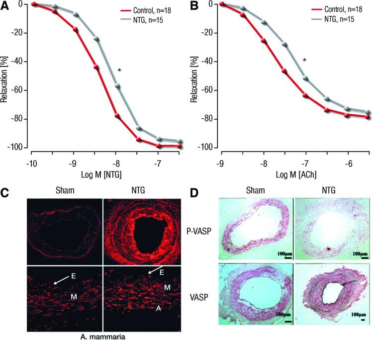 https://cdn.ncbi.nlm.nih.gov/pmc/blobs/002c/4752190/623c538c3e35/fig-18.jpg