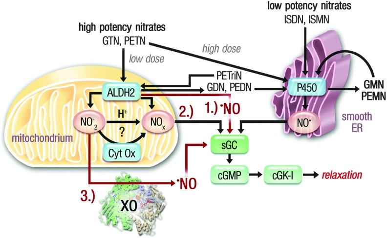 https://cdn.ncbi.nlm.nih.gov/pmc/blobs/002c/4752190/948650c212c3/fig-6.jpg