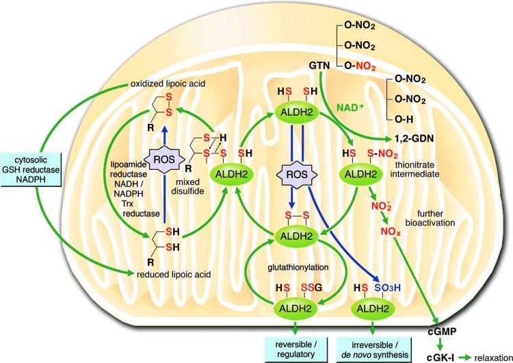 https://cdn.ncbi.nlm.nih.gov/pmc/blobs/002c/4752190/ae066557f291/fig-7.jpg