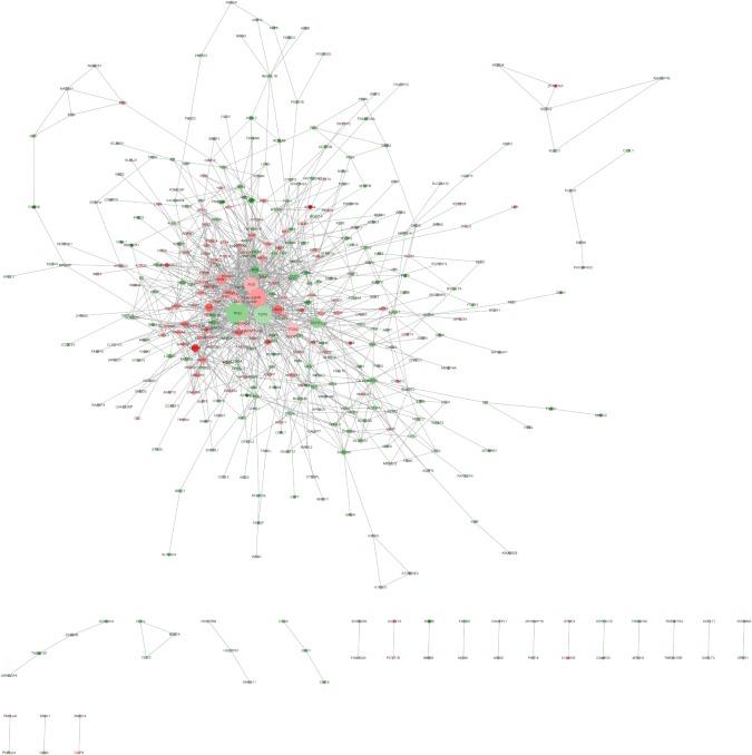 https://cdn.ncbi.nlm.nih.gov/pmc/blobs/002d/5530849/d3c667241fa6/ott-10-3591Fig5.jpg