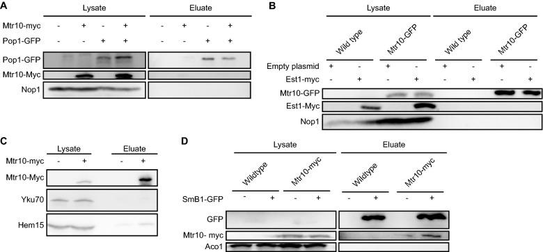 https://cdn.ncbi.nlm.nih.gov/pmc/blobs/002f/8590012/8e5fdc9faa9e/41598_2021_1599_Fig5_HTML.jpg