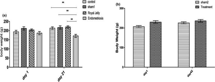 https://cdn.ncbi.nlm.nih.gov/pmc/blobs/002f/8606856/2d21168f8a44/PHY2-9-e15117-g001.jpg