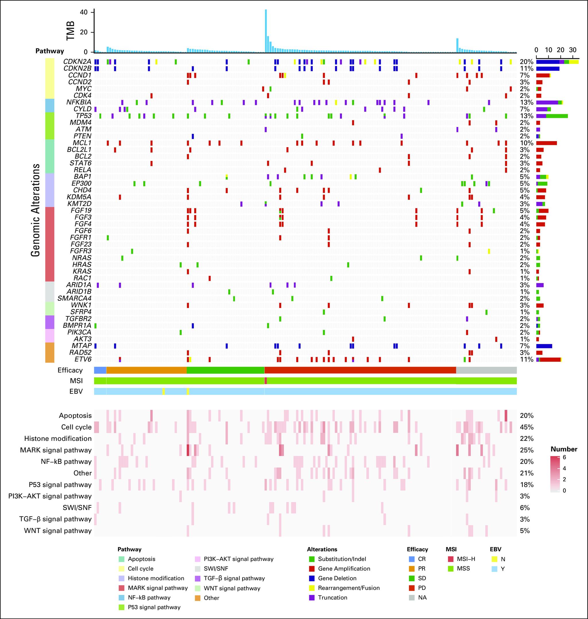 https://cdn.ncbi.nlm.nih.gov/pmc/blobs/0030/8078488/359b776f9ef0/jco-39-704-g008.jpg