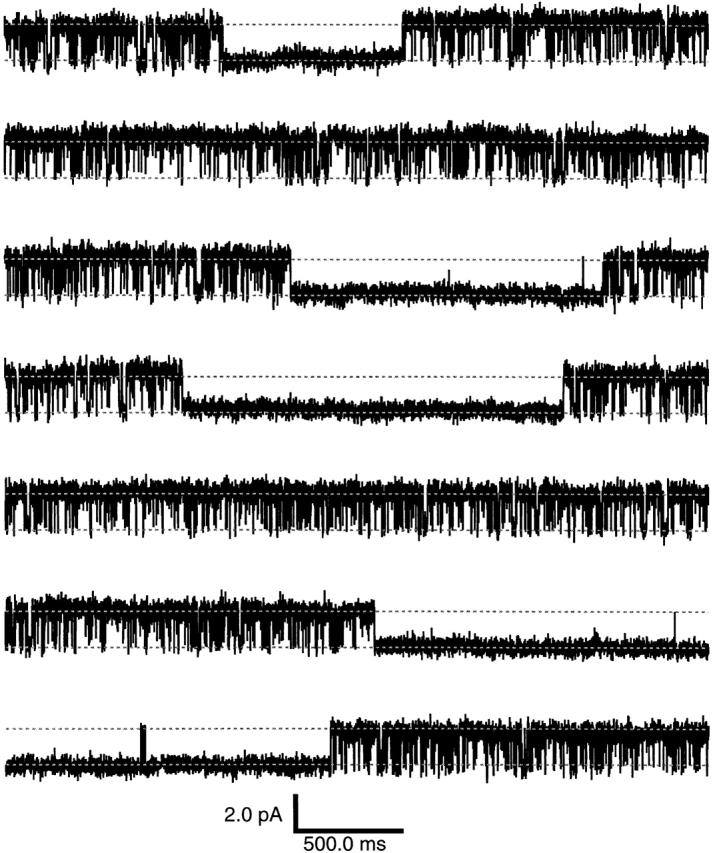 https://cdn.ncbi.nlm.nih.gov/pmc/blobs/0031/2222912/081b2f9b33c0/JGP7871.f1.jpg