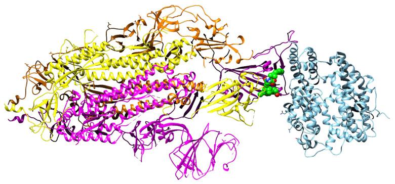 https://cdn.ncbi.nlm.nih.gov/pmc/blobs/0031/8746556/6270946d3912/molecules-27-00260-g005.jpg