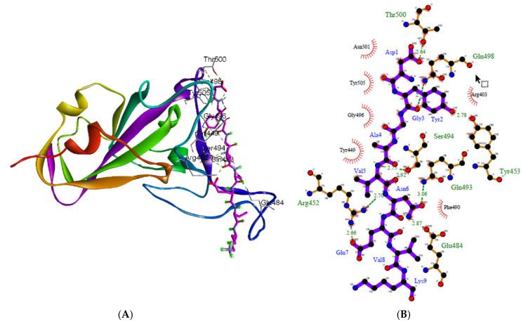 https://cdn.ncbi.nlm.nih.gov/pmc/blobs/0031/8746556/a798d10bf81c/molecules-27-00260-g003.jpg