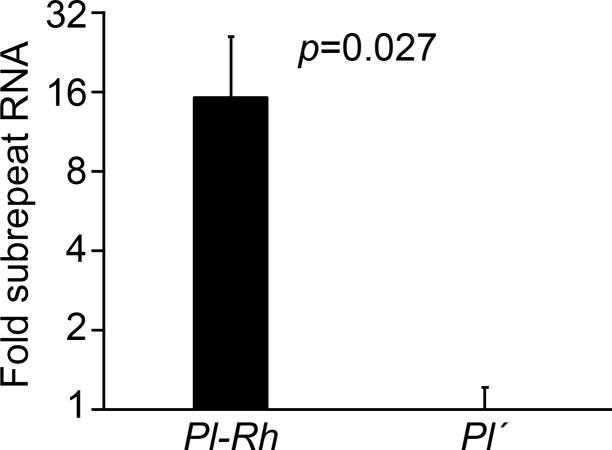 https://cdn.ncbi.nlm.nih.gov/pmc/blobs/0032/11166354/1dde7cb87119/pgen.1011296.g005.jpg