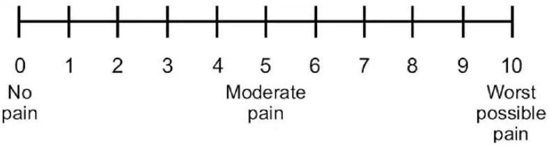 https://cdn.ncbi.nlm.nih.gov/pmc/blobs/0032/11356159/49b833be72b5/medicina-60-01206-g003.jpg