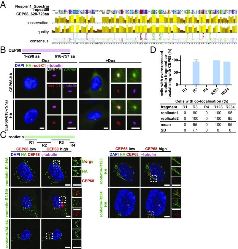 https://cdn.ncbi.nlm.nih.gov/pmc/blobs/0032/5873239/0a673e0d2b9f/pnas.1716840115fig07.jpg