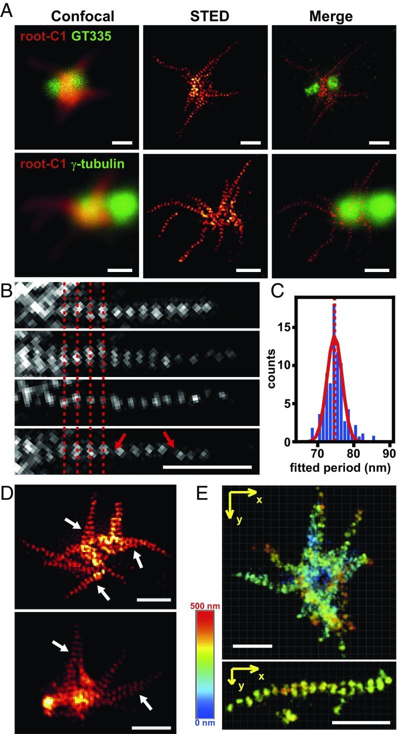 https://cdn.ncbi.nlm.nih.gov/pmc/blobs/0032/5873239/d78f4f51e375/pnas.1716840115fig01.jpg