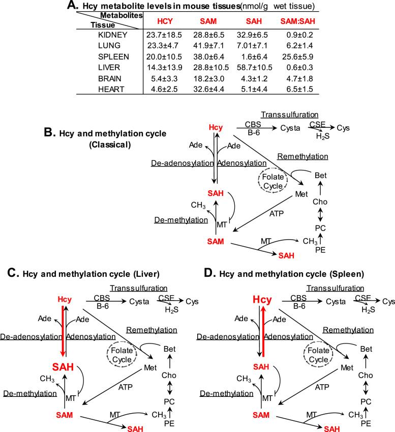 https://cdn.ncbi.nlm.nih.gov/pmc/blobs/0032/6006524/7ecb3f335466/gr2.jpg