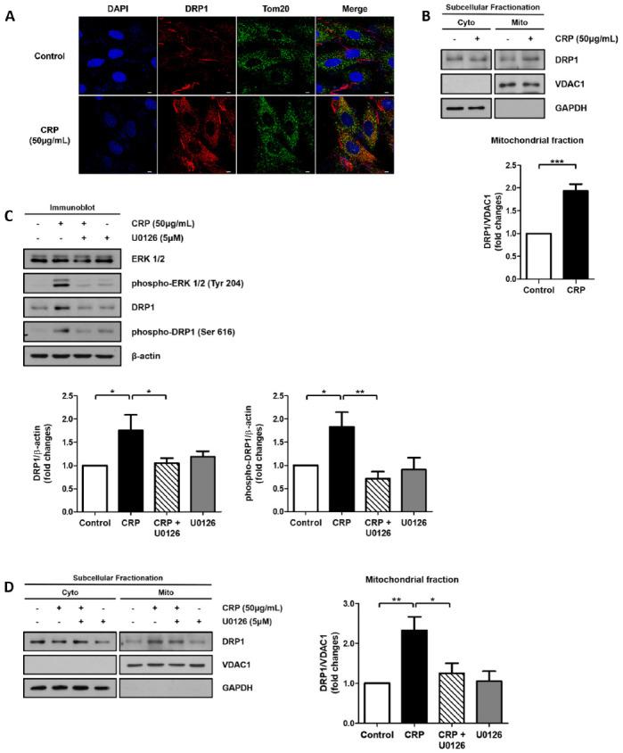 https://cdn.ncbi.nlm.nih.gov/pmc/blobs/0035/10761750/5c72fc03e465/bmb-56-12-663-f2.jpg