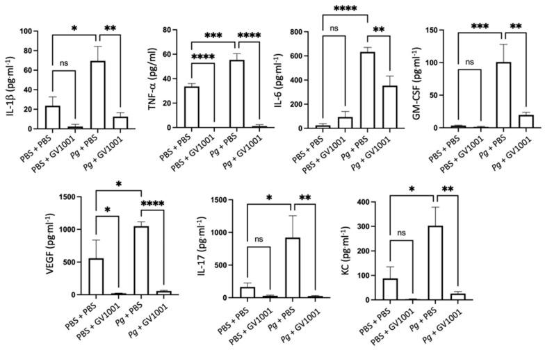 https://cdn.ncbi.nlm.nih.gov/pmc/blobs/0035/11172542/0e080323736b/ijms-25-06126-g005.jpg