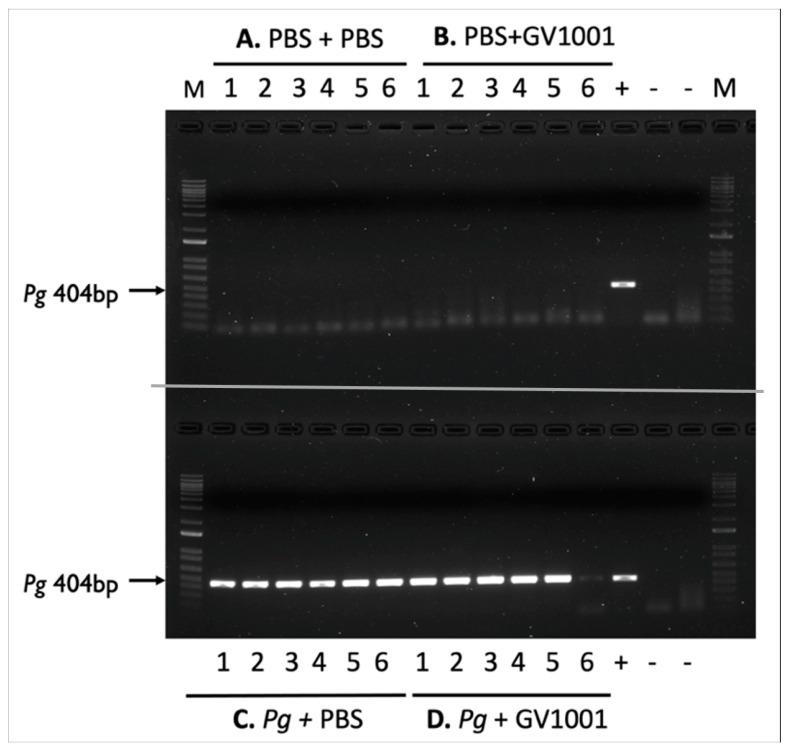 https://cdn.ncbi.nlm.nih.gov/pmc/blobs/0035/11172542/2443df273c56/ijms-25-06126-g001.jpg
