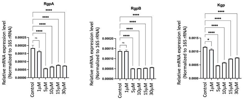 https://cdn.ncbi.nlm.nih.gov/pmc/blobs/0035/11172542/320826d354ed/ijms-25-06126-g016.jpg