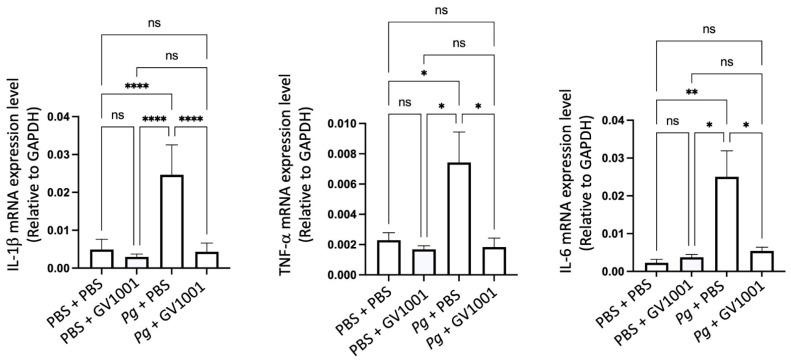 https://cdn.ncbi.nlm.nih.gov/pmc/blobs/0035/11172542/939c4279ab51/ijms-25-06126-g006.jpg