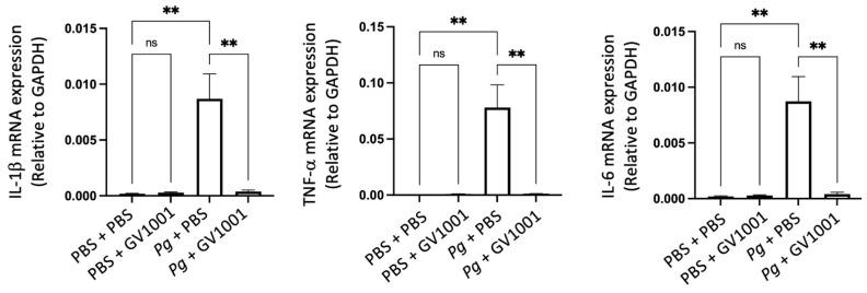 https://cdn.ncbi.nlm.nih.gov/pmc/blobs/0035/11172542/c186c2cb9d8d/ijms-25-06126-g012.jpg