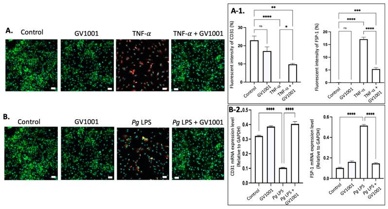 https://cdn.ncbi.nlm.nih.gov/pmc/blobs/0035/11172542/f56c8e7190b6/ijms-25-06126-g009.jpg