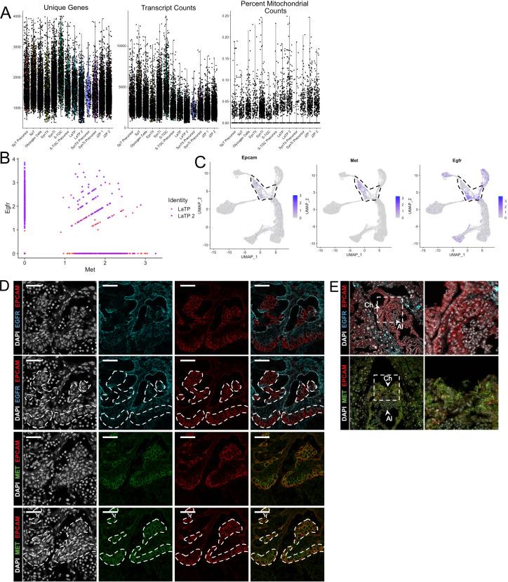 https://cdn.ncbi.nlm.nih.gov/pmc/blobs/0037/7669270/20792278a491/elife-60266-fig2-figsupp1.jpg