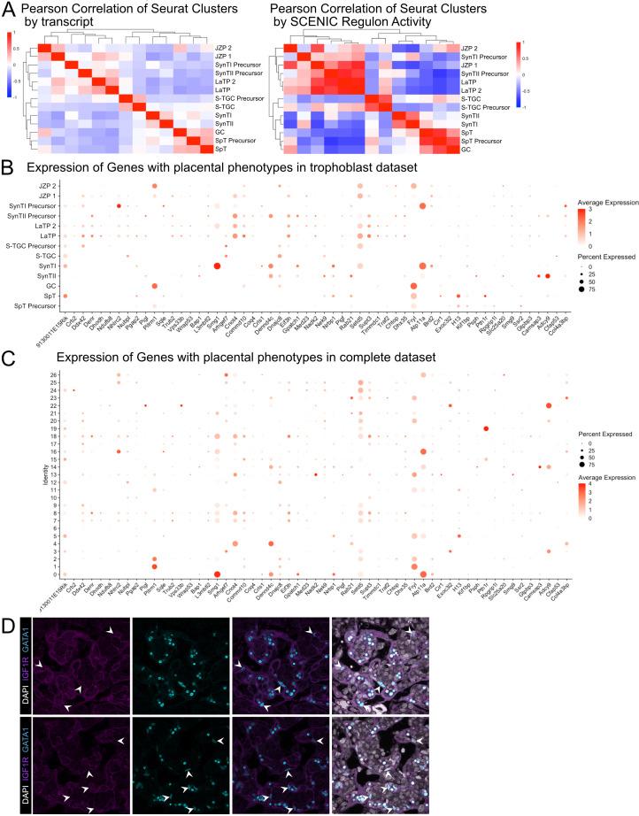 https://cdn.ncbi.nlm.nih.gov/pmc/blobs/0037/7669270/6e0c640793c4/elife-60266-fig6-figsupp1.jpg