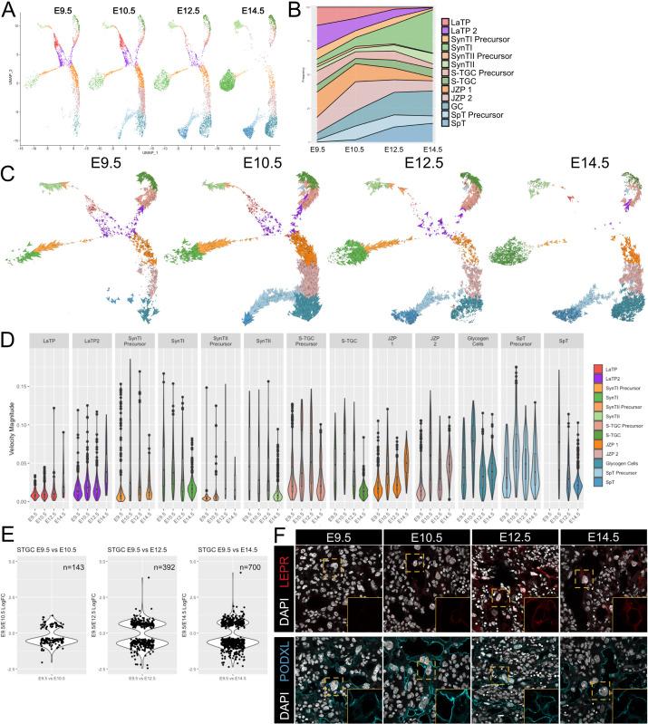 https://cdn.ncbi.nlm.nih.gov/pmc/blobs/0037/7669270/96449e46dca0/elife-60266-fig3.jpg