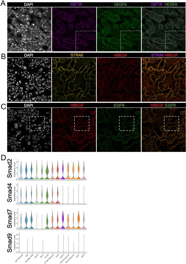 https://cdn.ncbi.nlm.nih.gov/pmc/blobs/0037/7669270/ac689a29832d/elife-60266-fig5-figsupp2.jpg