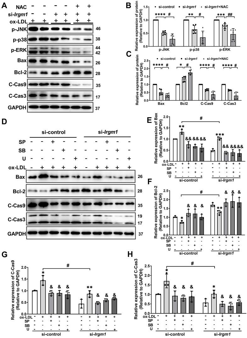 https://cdn.ncbi.nlm.nih.gov/pmc/blobs/0039/8490524/70c7d474313f/thnov11p9358g006.jpg