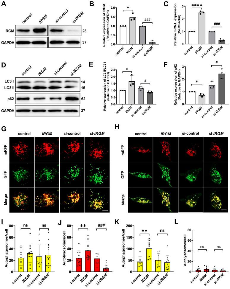 https://cdn.ncbi.nlm.nih.gov/pmc/blobs/0039/8490524/a4c03113db3d/thnov11p9358g003.jpg