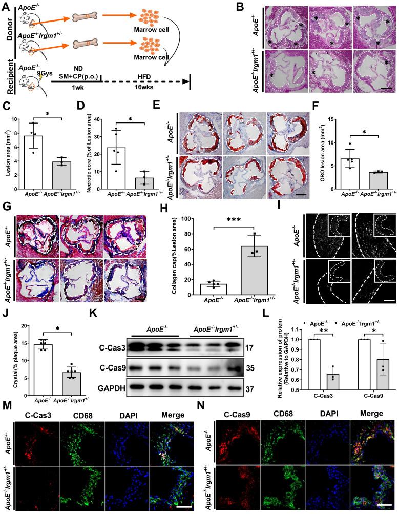 https://cdn.ncbi.nlm.nih.gov/pmc/blobs/0039/8490524/b92e46d447e4/thnov11p9358g007.jpg