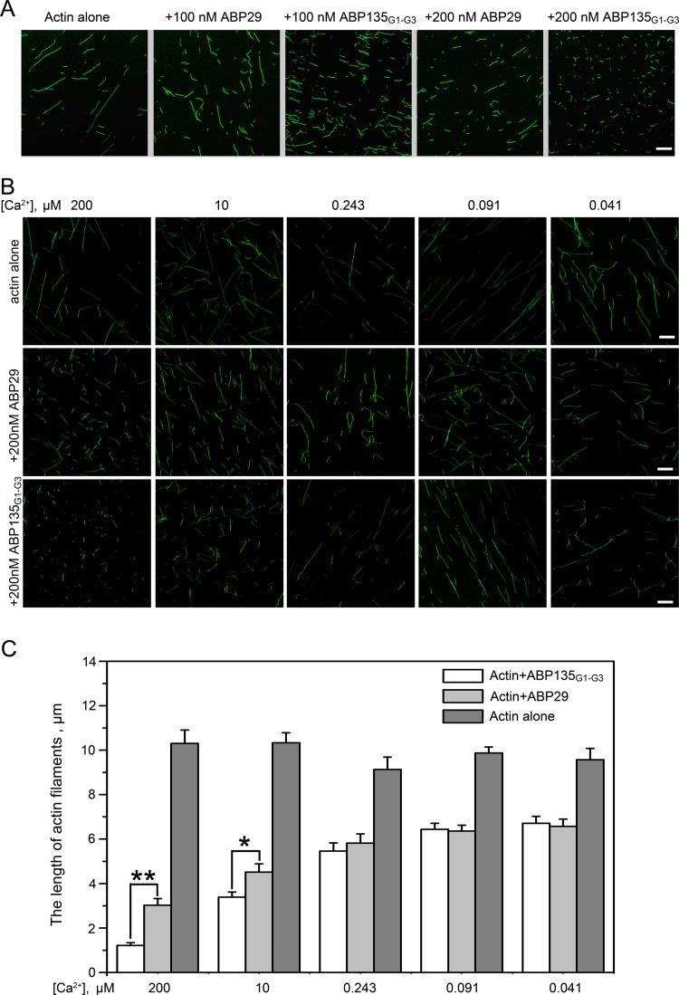 https://cdn.ncbi.nlm.nih.gov/pmc/blobs/003a/4654503/db2294003673/pone.0143174.g002.jpg