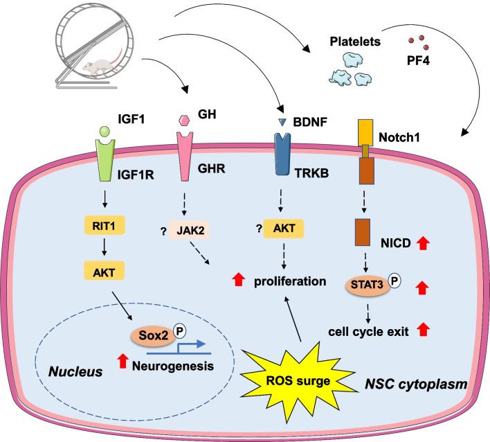 https://cdn.ncbi.nlm.nih.gov/pmc/blobs/003b/10164224/81f9b2810297/40798_2023_573_Fig3_HTML.jpg