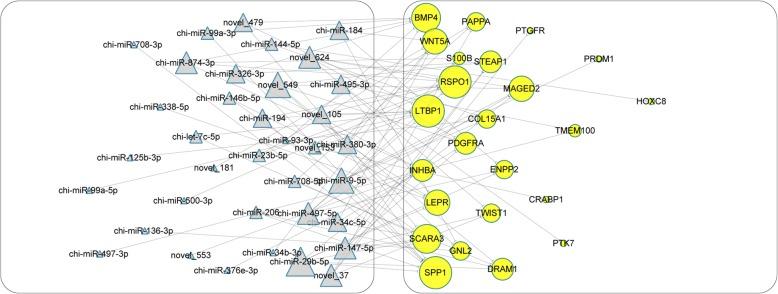 https://cdn.ncbi.nlm.nih.gov/pmc/blobs/003e/6587304/7a6965743489/12864_2019_5861_Fig3_HTML.jpg